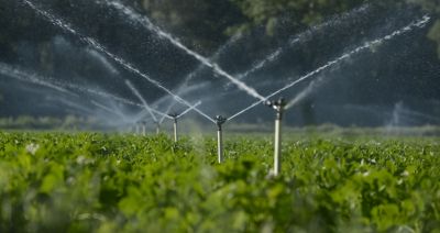 Increase Your Sprinkler System Programming Business with an AI Driven, Targeted Website