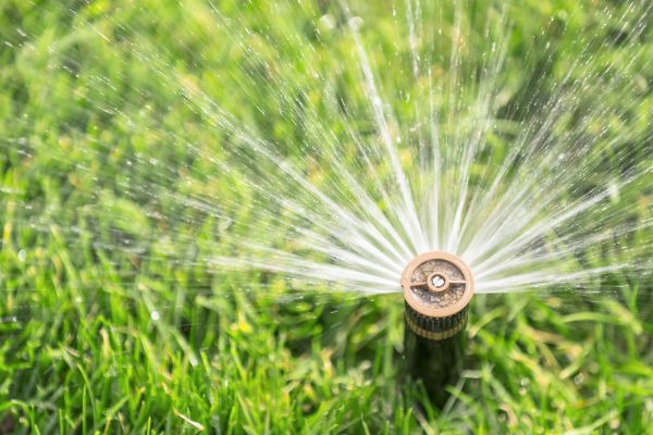 Sprinkler System Relocation - Sprinkler System Relocation Fort Myers, Florida