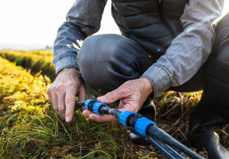 Watering Schedule Optimization